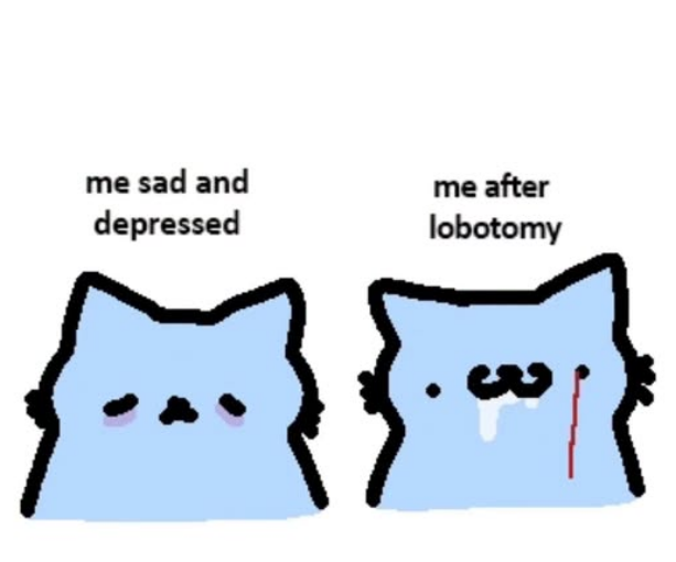 nub_cat